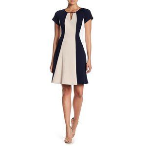 Sandra Darren NWT Short Sleeve Colorblock Dress
